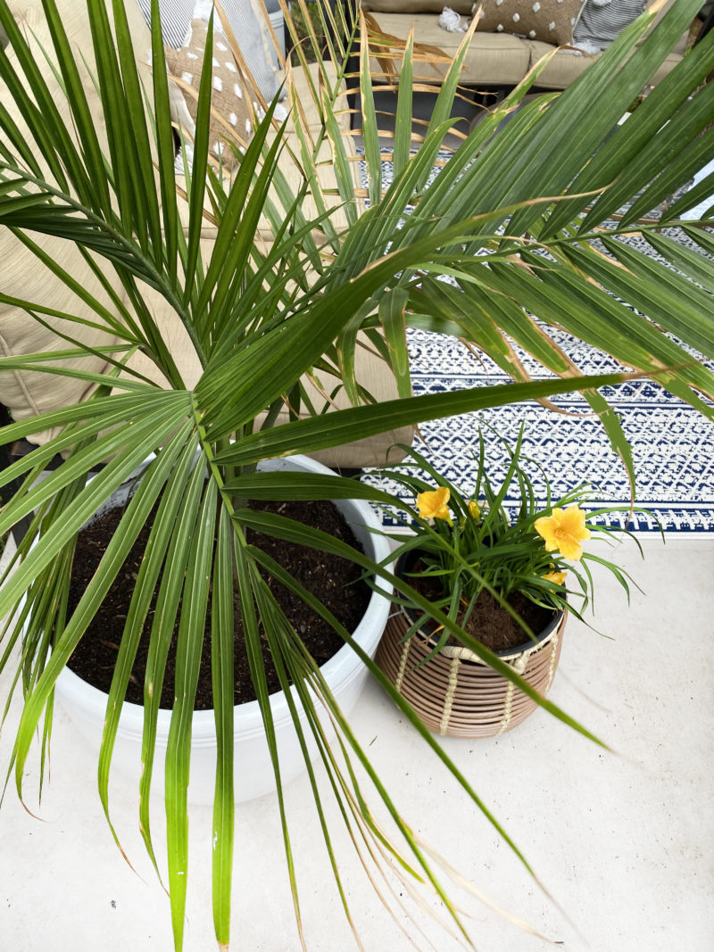 TIPS TO GET YOUR OUTDOOR SPACE READY FOR SUMMER » Glammed Events